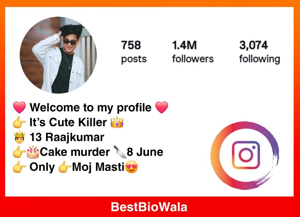 Instagram Bio For Boys in English