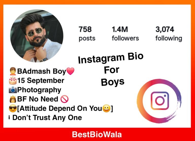Best Instagram Bio For Boys