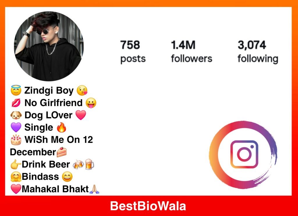 Instagram Bio For Boys Attitude