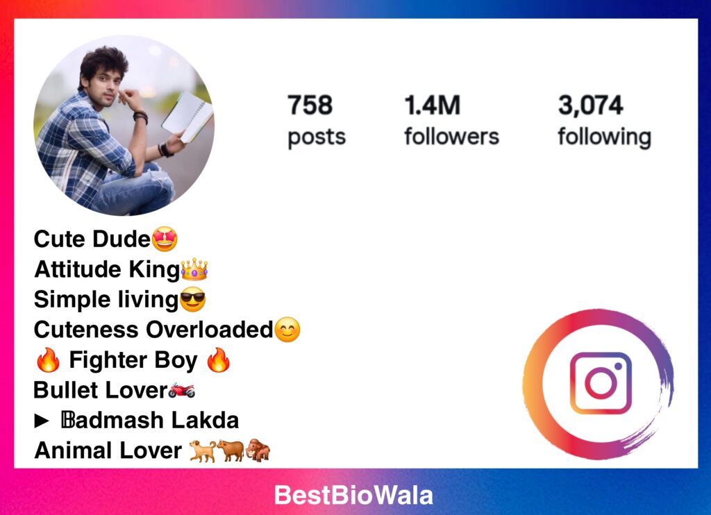 Instagram Bio For Students