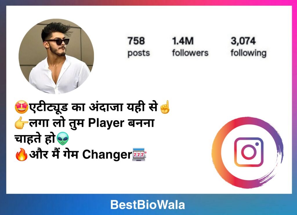 Stylish Instagram Bio in Hindi